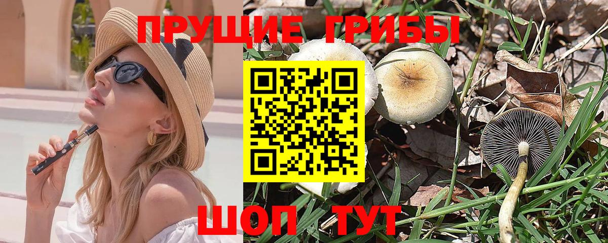 Псилоцибиновые грибы GOLDEN TEACHER  Вход с VPN  купить  сайты  Галлюциногенные грибы GOLDEN TEACHER  Ефремов 