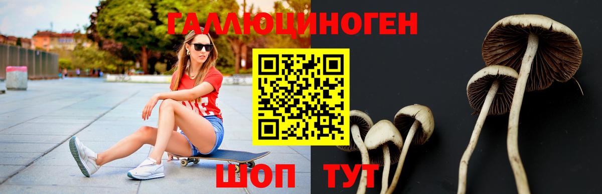 Псилоцибиновые грибы прущие грибы Ефремов